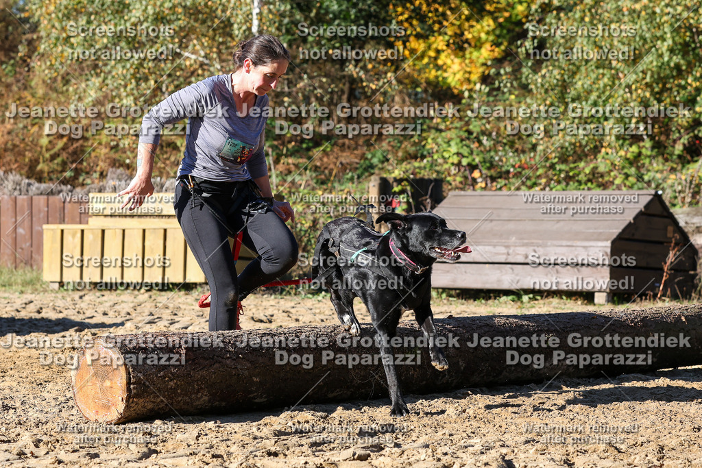 Dog Paparazzi - Strongdog 10-25-2235 | Dog Paparazzi Jeanette Grottendiek Fotografie & Videografie - Realisiert mit Pictrs.com