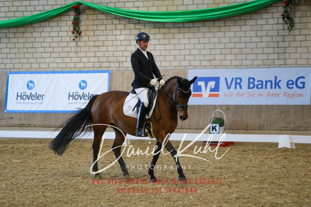 IMG_2749 | Turnierfotos kaufen im Webshop von Daniel Kuhl Photography – entdecke professionelle Reitsportfotos aus Turnieren & Events. Hochwertige Turnierbilder online bestellen & sichern. Jetzt Fotos von Reitsportturnieren kaufen!