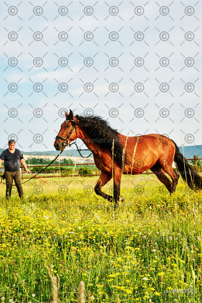 283_202406_Niki-Herodes_NZ9_0193 | proPHOTO - Realisiert mit Pictrs.com