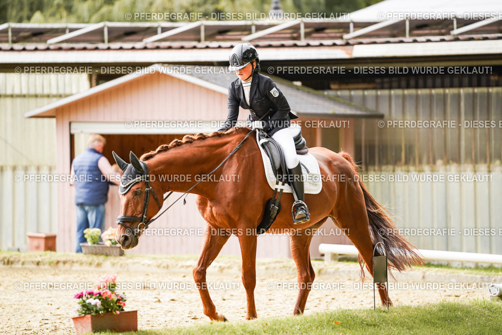 DSC01923 | Pferdegrafie