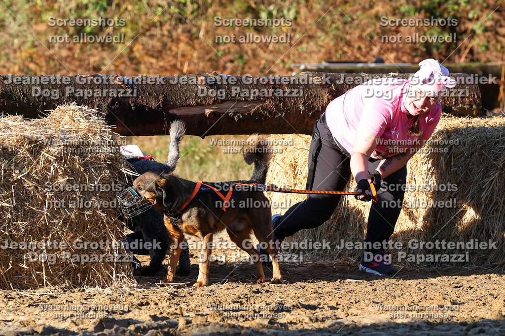 Dog Paparazzi - Strongdog 10-25-1058 | Dog Paparazzi Jeanette Grottendiek Fotografie & Videografie - Realisiert mit Pictrs.com
