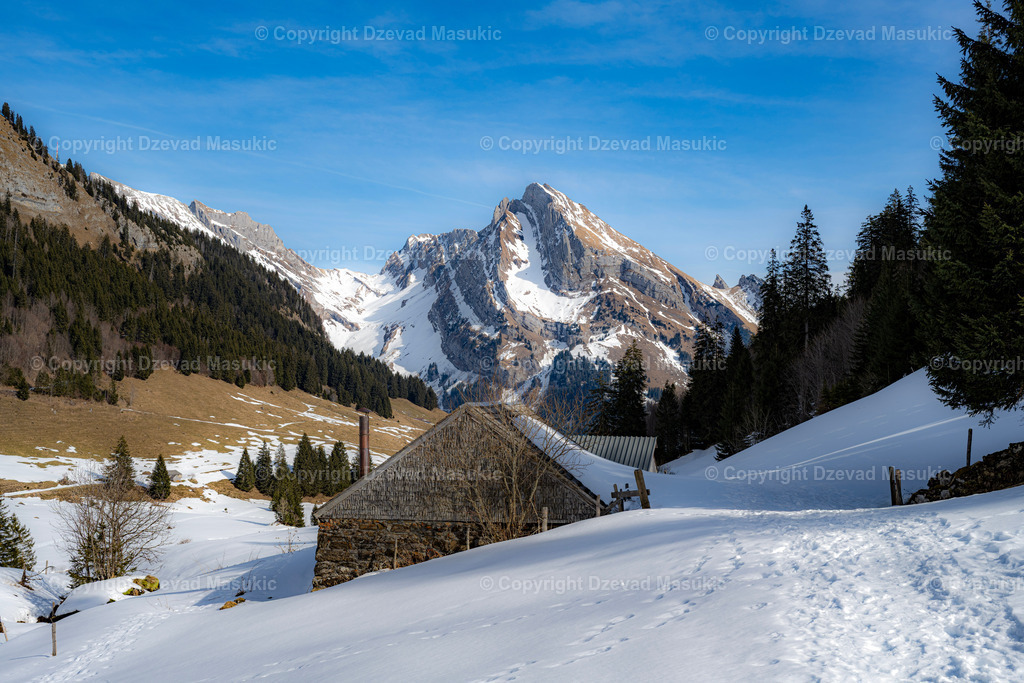 Gräppelensee | Der Gräppelensee in Alt St. Johann ist ein idyllischer Bergsee, eingebettet in die wunderschöne Landschaft des Toggenburgs. - Realisiert mit Pictrs.com