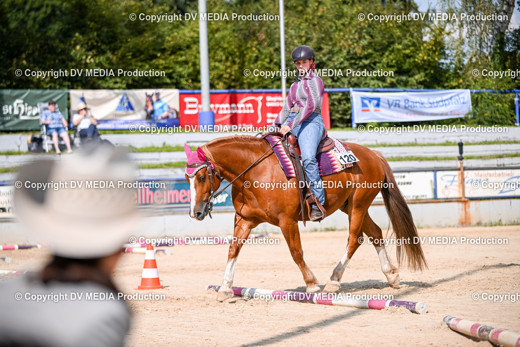 ZS2_3568 | dv-media-shop - Realisiert mit Pictrs.com