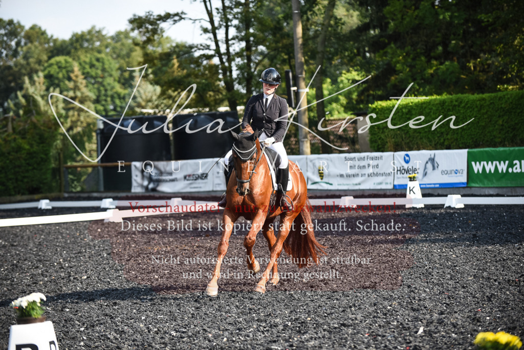 DSC_3272 | Pferde- und Turnierfotografie in Westsachsen. Pferdeportraits, Auftragszeichnungen und intuitive Kunst.