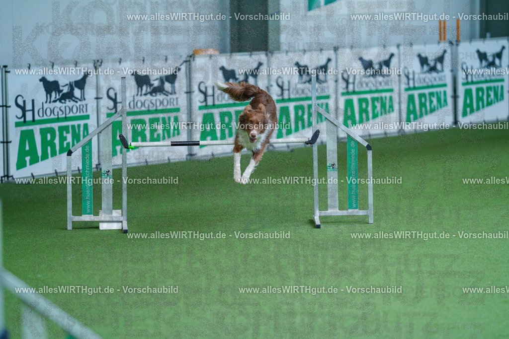 @allesWIRTHgut_Tierfotografie - www.allesWIRTHgut.de - 2604261402-7R503287 | Professionelle Tierfotografie in Mönchengladbach von Daniel Wirth (allesWIRTHgut). Liebevolle & natürliche Bilder von Hunden & Katzen für unvergessliche Erinnerungen.