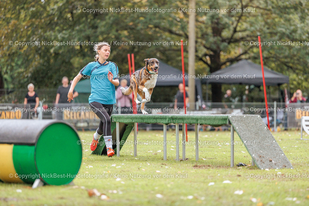 THS-HSV-Blumenthal-2026-Nickbest-Hundefotografie-4014 | Dein Hund! Dein Moment! Deine Erinnerungen! Hundefotografie in Bremen Blumenthal. Ich fange die besonderen Momente deines Vierbeiners ein – ob Indoor mit Blitzanlage oder in der freien Natur. Sicher dir dein Moment und dein Termin für eure Erinnerungen.