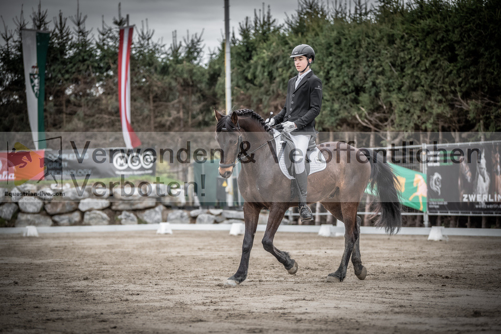 DSC_9366 | equestrian-live-com