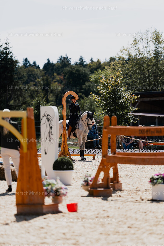 Svea13FHC2025-08758 | working equitationturnier fotograf videograf stoibphotography marixx film working equitation deutschland reitsport turnierfotografie eventfotografie equestrian events