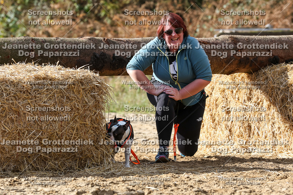 Dog Paparazzi - Strongdog 10-25-4979 | Dog Paparazzi Jeanette Grottendiek Fotografie & Videografie - Realisiert mit Pictrs.com
