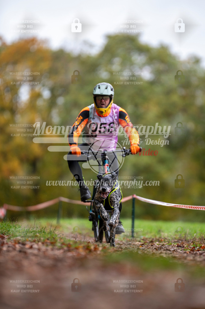 DBT_DAKM_SA_4_11_2023_Bike-77 | PayLife