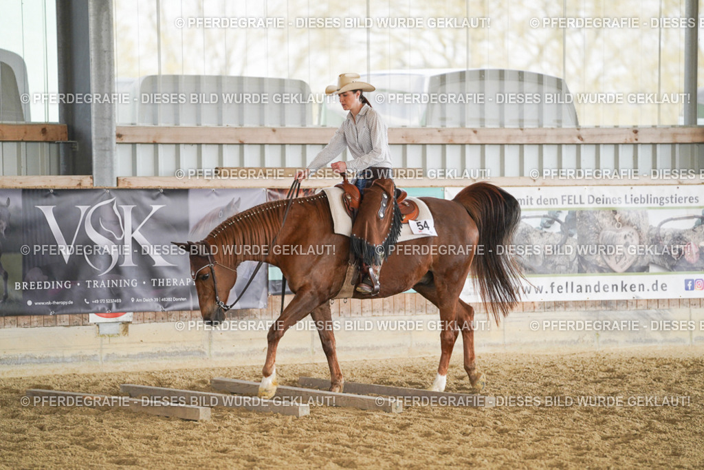 DSC01311 | Pferdegrafie