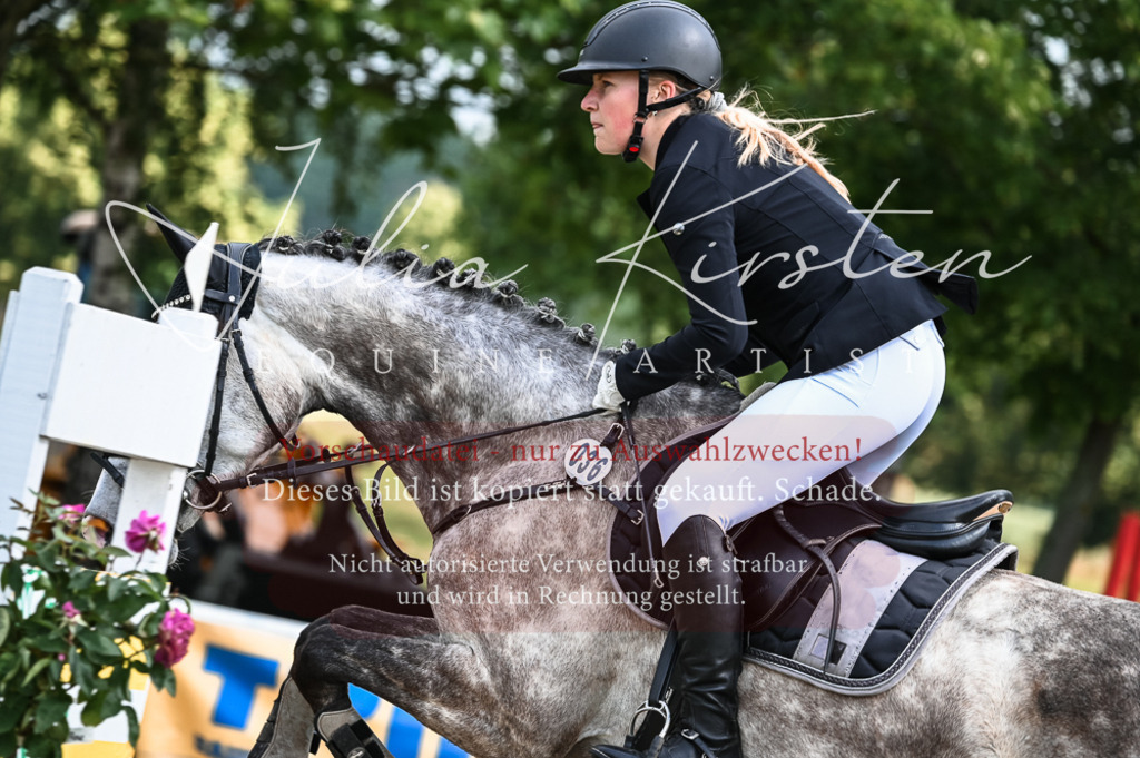 DSC_8373 | Pferde- und Turnierfotografie in Westsachsen. Pferdeportraits, Auftragszeichnungen und intuitive Kunst.