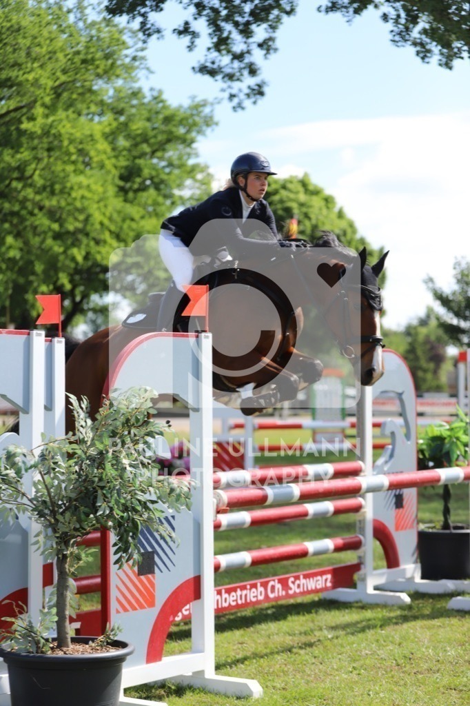 IMG_7151 | Pauline Ullmann Photography - Realisiert mit Pictrs.com