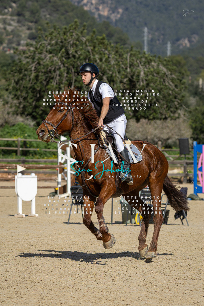 IMG_6589 | s-jay-photography - Realisiert mit Pictrs.com