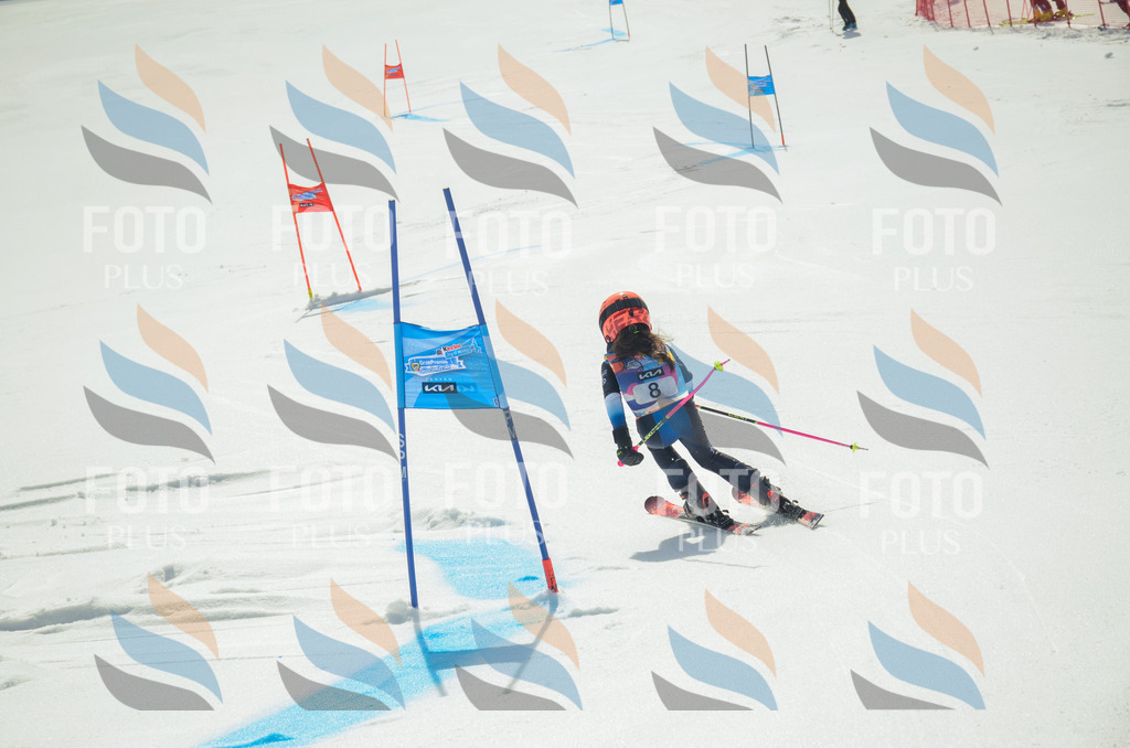 _ELE4518 | holidayphoto