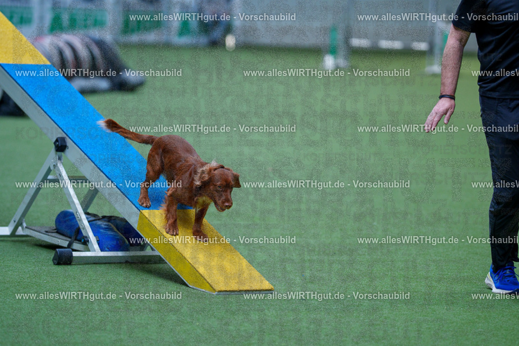 @allesWIRTHgut_Tierfotografie - www.allesWIRTHgut.de - 2604251359-7R504500 | Professionelle Tierfotografie in Mönchengladbach von Daniel Wirth (allesWIRTHgut). Liebevolle & natürliche Bilder von Hunden & Katzen für unvergessliche Erinnerungen.