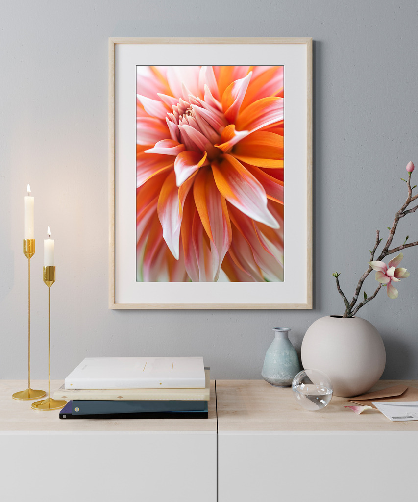 mock up poster Leuchtend orange-weiße Dahlienblüte für eine Wand im Flur oder im Wohnzimmer | Sie finden dieses Motiv in der Galerie Farben und Formen - Blütenpracht (https://shop.soulimages.eu/img/wotenl). - Realisiert mit Pictrs.com