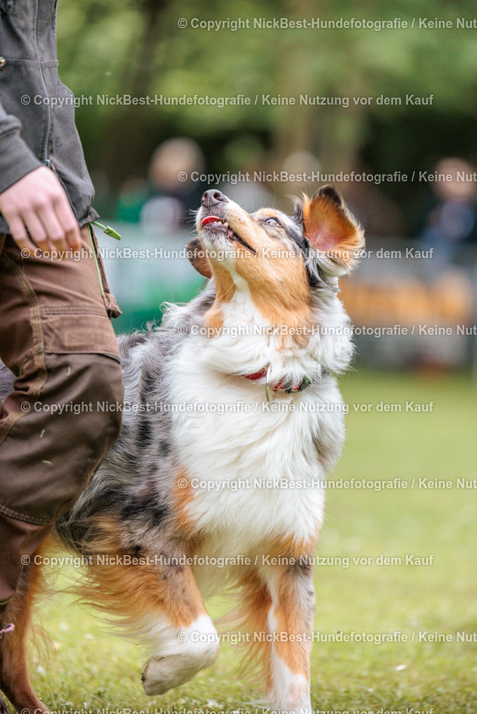 RO-Blumenthal-2026-Nickbest-Hundefotografie-2873 | Dein Hund! Dein Moment! Deine Erinnerungen! Hundefotografie in Bremen Blumenthal. Ich fange die besonderen Momente deines Vierbeiners ein – ob Indoor mit Blitzanlage oder in der freien Natur. Sicher dir dein Moment und dein Termin für eure Erinnerungen.