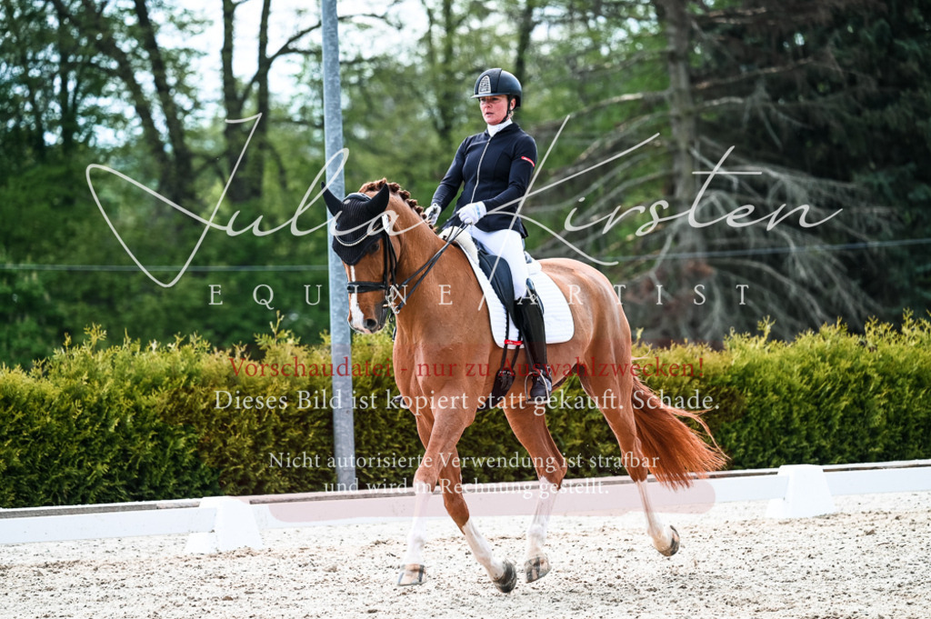 20230513_JK-Röhrsdorf-10-0755 | Pferde- und Turnierfotografie in Westsachsen. Pferdeportraits, Auftragszeichnungen und intuitive Kunst.