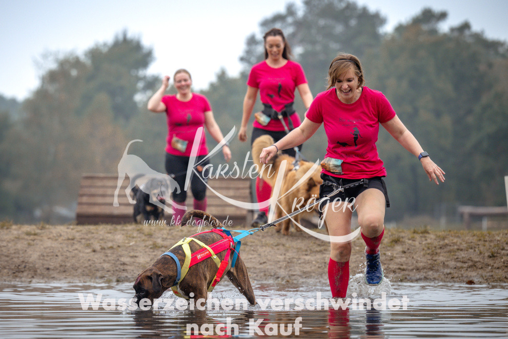 1025_ZZ99465 | kk-dogfotos