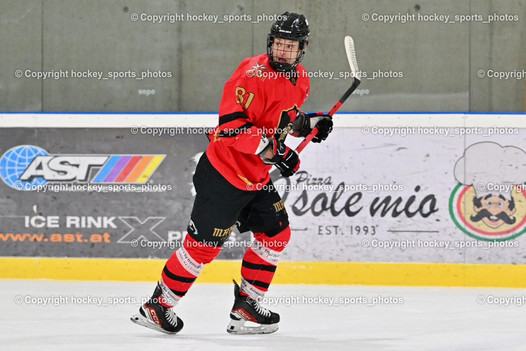 Lendhafen Seelöwen vs. Spartans Althofen | #81 Jakobitsch Silvio Spartans Althofen, Lendhafen Seelöwen vs. Spartans Althofen, Lendhafen Seelöwen vs. Spartans Althofen am 14.02.2025 in Ferlach (HTC Eishalle Ferlach), Austria, (Photo by Bernd Stefan)