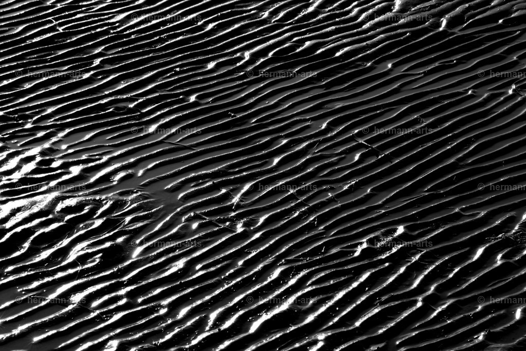 Hermann-Arts_Seaside_002 | Photo Foto Kunst Art schwarzweiss Bilder Rheine Münster Berlin Blumen 