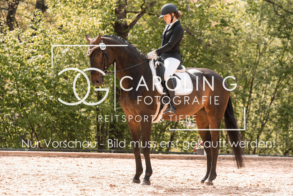 DSC_9701 | Turnierfotografin Carolin Gieschke, Turnierfotografie Carolin G Fotografie, Turnierfotos Kirchheim/Teck, Esslingen, Stuttgart, Bodenseekreis