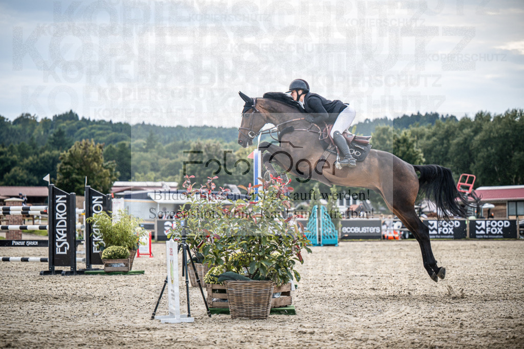 DOS_2833 | Entdecke hochwertige Reitturnierfotos von Foto Oger. Professionell, emotional und authentisch – jetzt Lieblingsmomente im Shop bestellen.Deutschlandweite Turnierfotografie. - Realisiert mit Pictrs.com