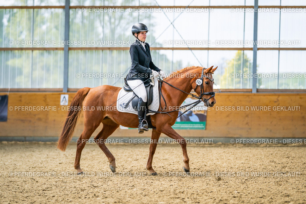 DSC03935 | Pferdegrafie