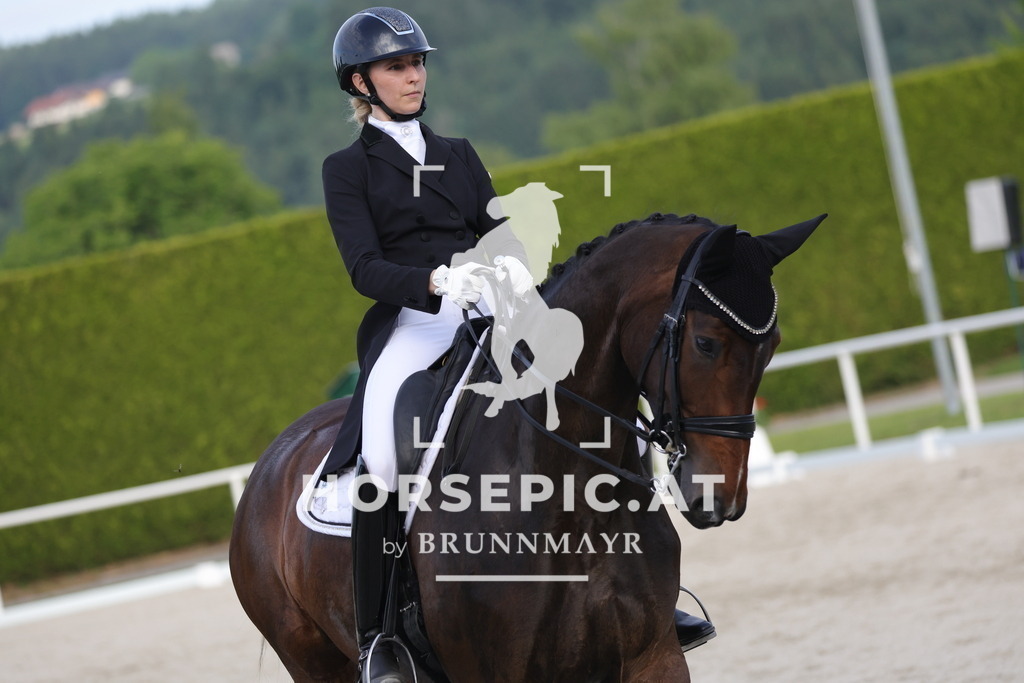 0P6A4270 | Willkommen bei Brunnmayr - Design & Fotografie – Ihrem Spezialisten für Reitturniere und Pferdeveranstaltungen in Oberösterreich, Salzburg und Bayern! Seit über 17 Jahren sind wir leidenschaftlich dabei.