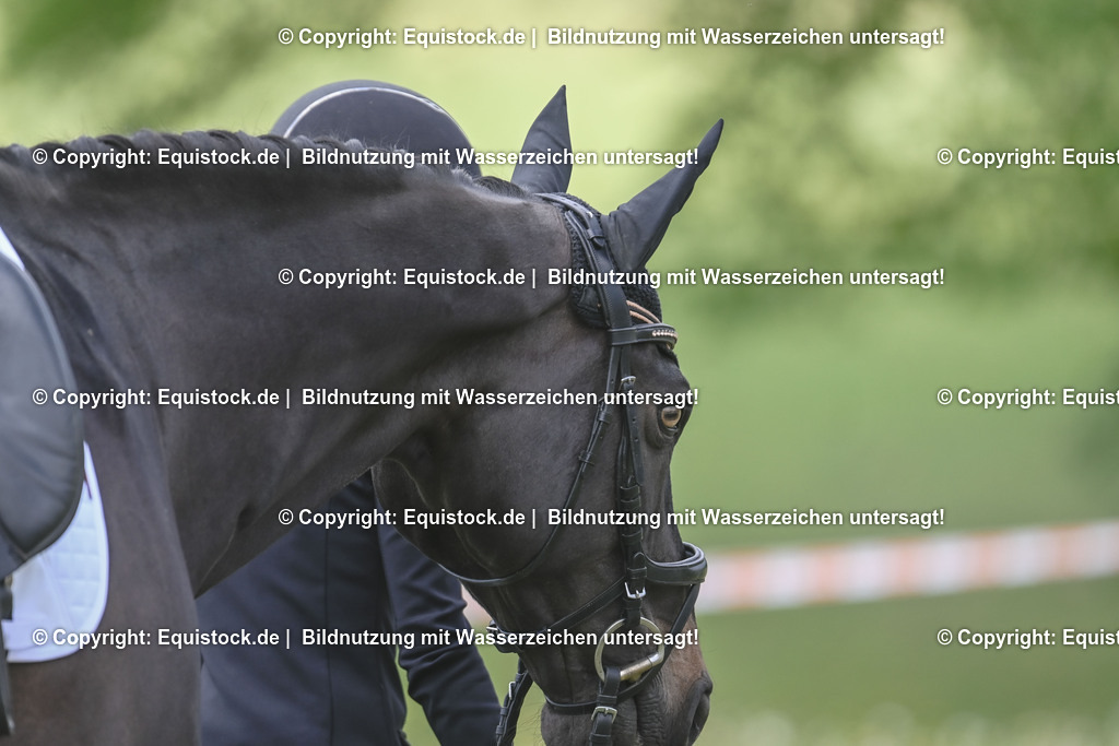 TS_20250516_Impressionen_0077 | Foto: Thomas Hartig