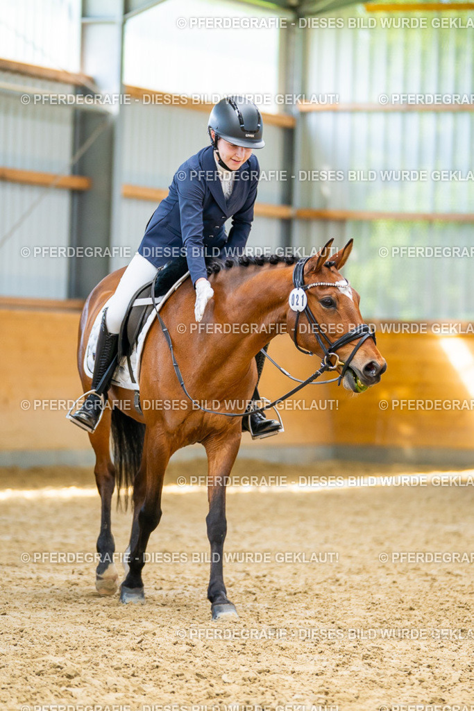 DSC08806 | Pferdegrafie