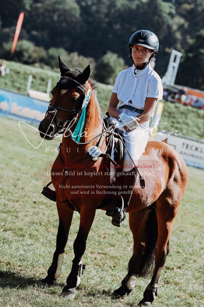 DSC_6219 | Pferde- und Turnierfotografie in Westsachsen. Pferdeportraits, Auftragszeichnungen und intuitive Kunst.