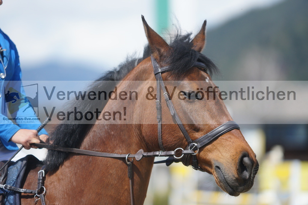 DSC02753 | equestrian-live-com