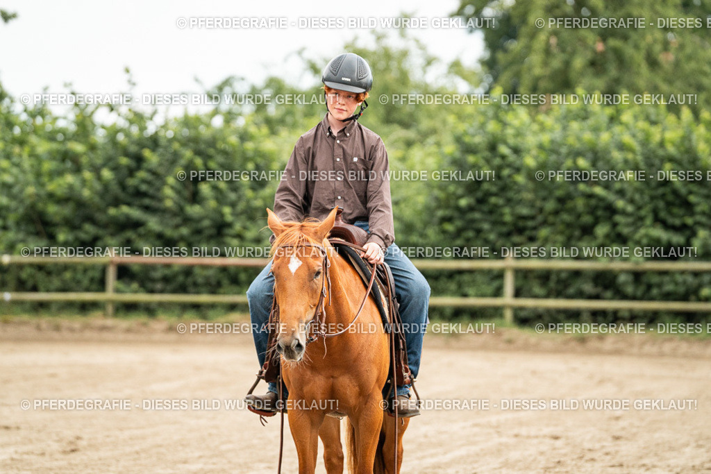 DSC04864 | Pferdegrafie