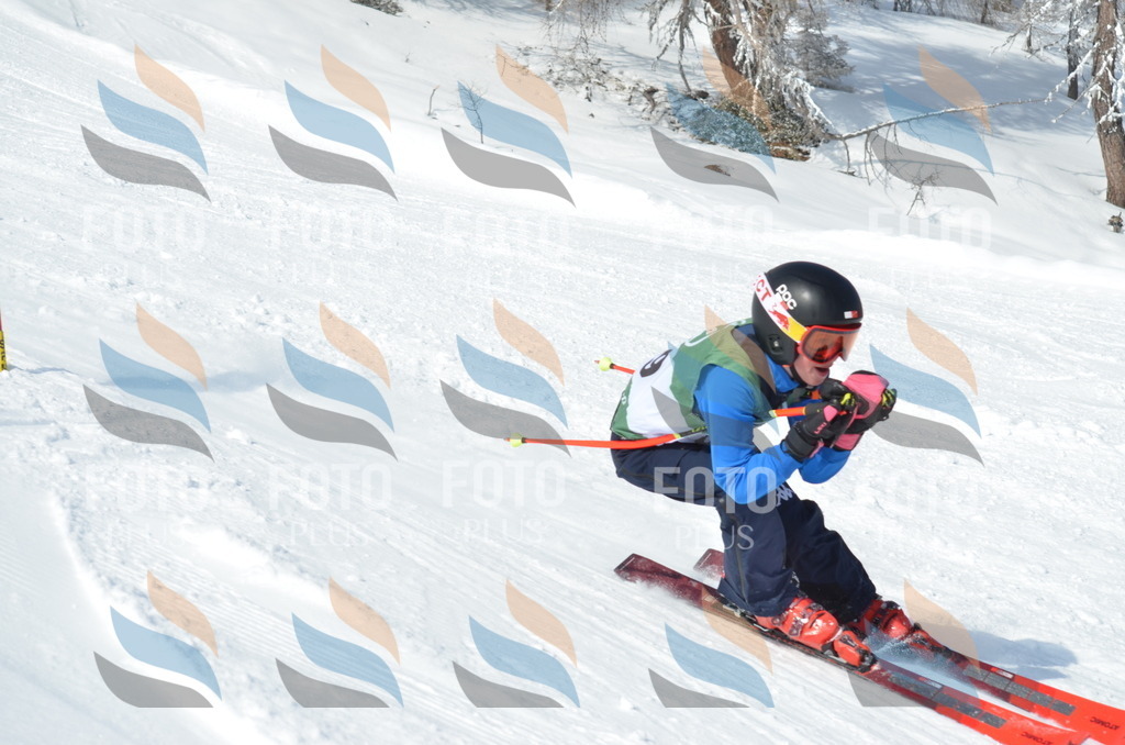 D9119 | holidayphoto