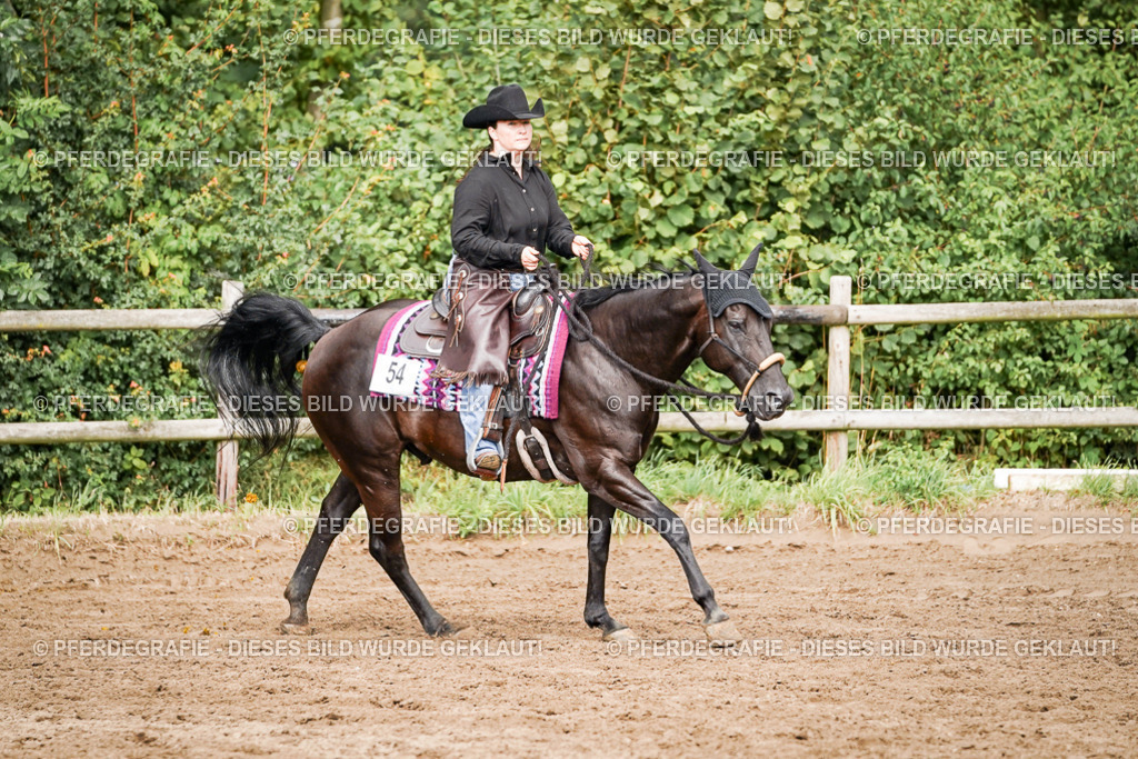 DSC09146 | Pferdegrafie