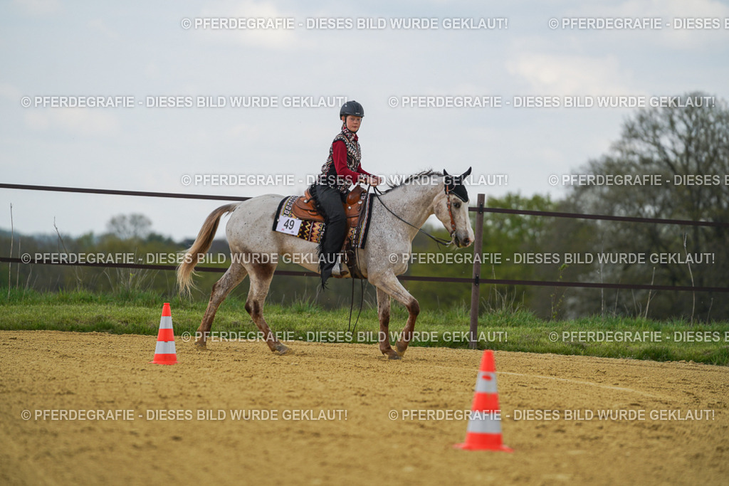 DSC06102 | Pferdegrafie