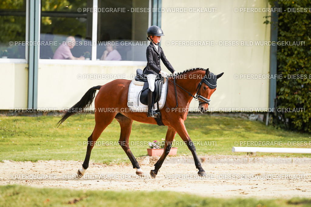 DSC03963 | Pferdegrafie