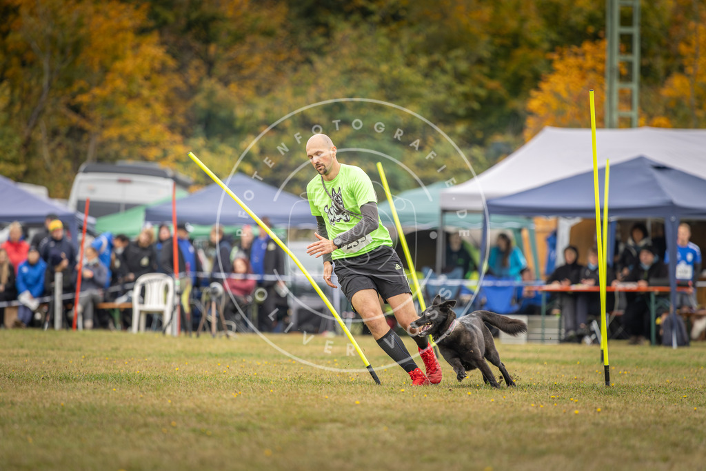 Pfotenfotografie_DV3A5204 | Hundefotografie, Tierfotograf, Pfotenfotografie, Fotoshooting Hund, Hunde Portrait, Hundesport, Hundeportraits, Heideshooting, Hunde, Sportfotograf, Hundefotograf, Turnierhundsport, THS,  - Realisiert mit Pictrs.com