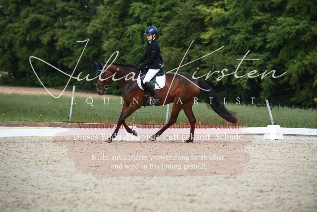 20230518_JK-Röhrsdorf-12-0234 | Pferde- und Turnierfotografie in Westsachsen. Pferdeportraits, Auftragszeichnungen und intuitive Kunst.