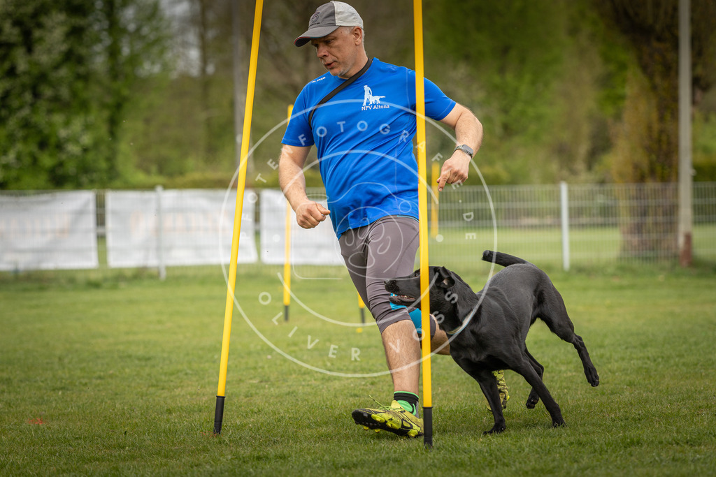Pfotenfotografie_DV3A7227 | Hundefotografie, Tierfotograf, Pfotenfotografie, Fotoshooting Hund, Hunde Portrait, Hundesport, Hundeportraits, Heideshooting, Hunde, Sportfotograf, Hundefotograf, Turnierhundsport, THS,  - Realisiert mit Pictrs.com