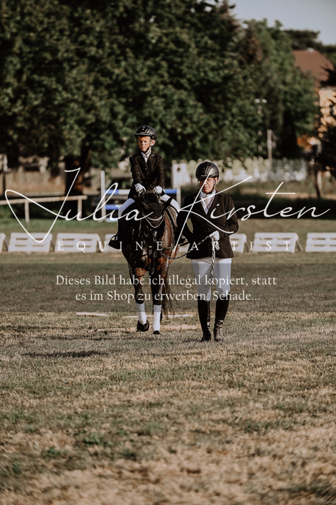 DSC_0218 | Pferde- und Turnierfotografie in Westsachsen. Pferdeportraits, Auftragszeichnungen und intuitive Kunst.