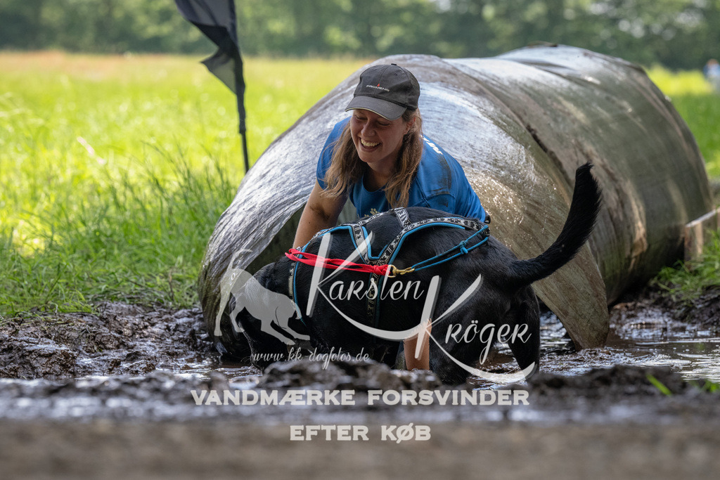 1151_ZZ94877 | kk-dogfotos