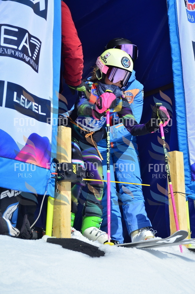 _ELE1226 | holidayphoto