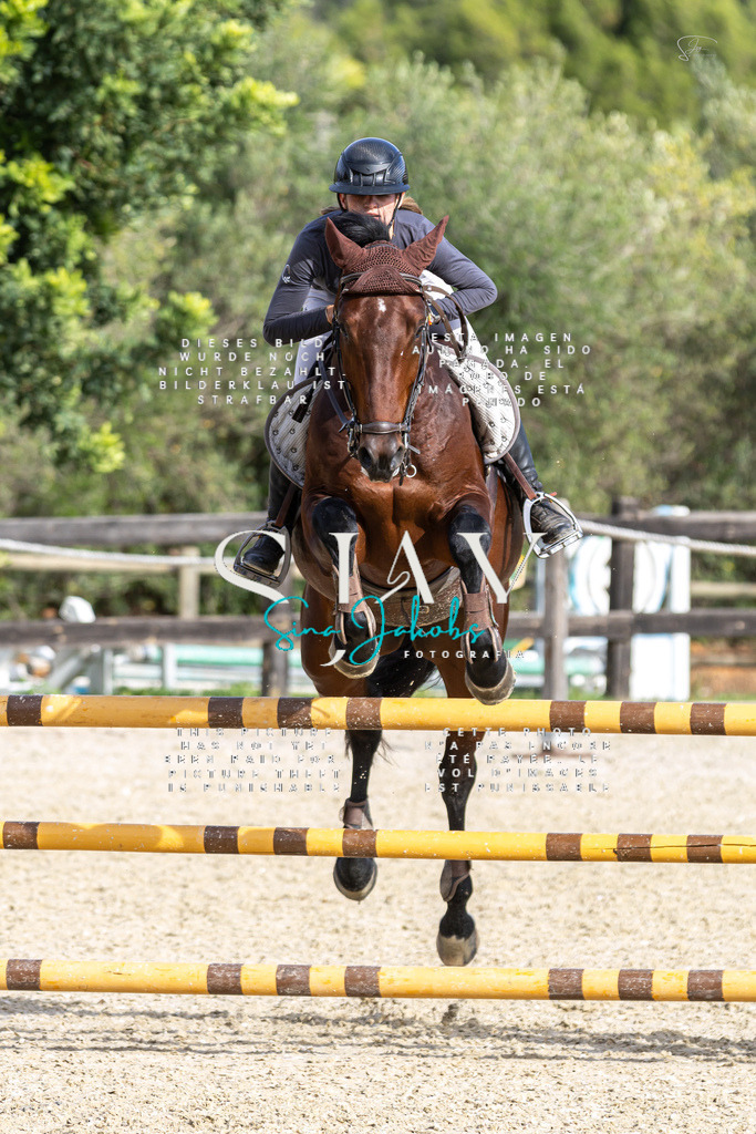 IMG_3896 | s-jay-photography - Realisiert mit Pictrs.com