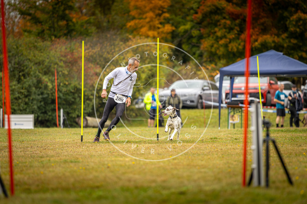 Pfotenfotografie_DV3A2216 | Hundefotografie, Tierfotograf, Pfotenfotografie, Fotoshooting Hund, Hunde Portrait, Hundesport, Hundeportraits, Heideshooting, Hunde, Sportfotograf, Hundefotograf, Turnierhundsport, THS,  - Realisiert mit Pictrs.com