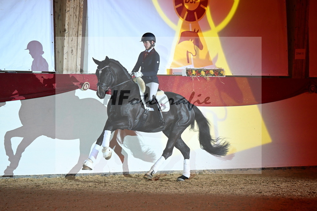 Boccacio_Fiedler_3262141 | hf-fotografie - Realisiert mit Pictrs.com