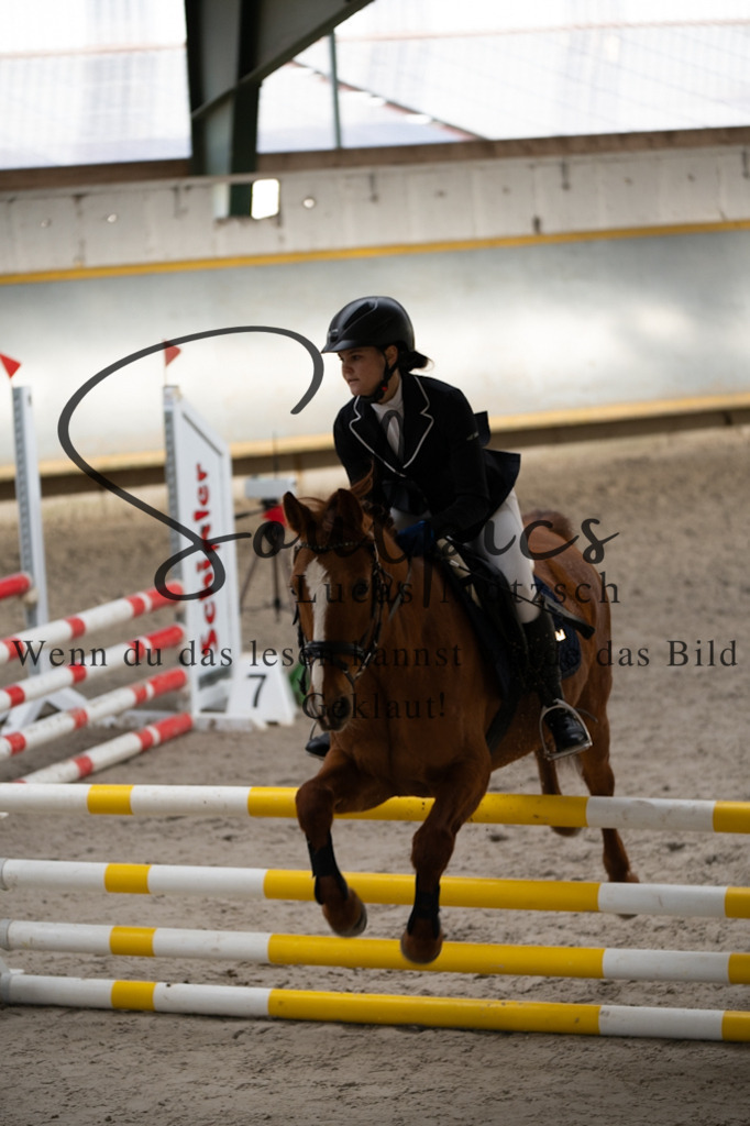 A7V01988 | Pferdefotograf