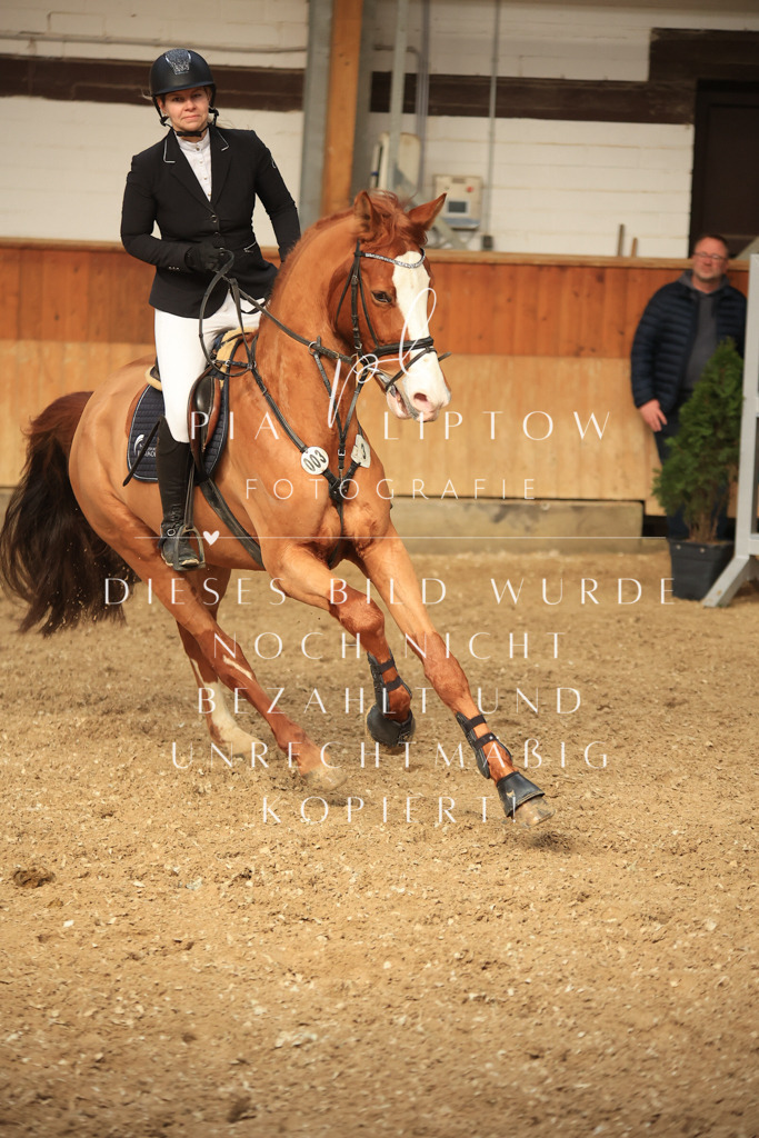 IMGT1331 | pl-fotografie